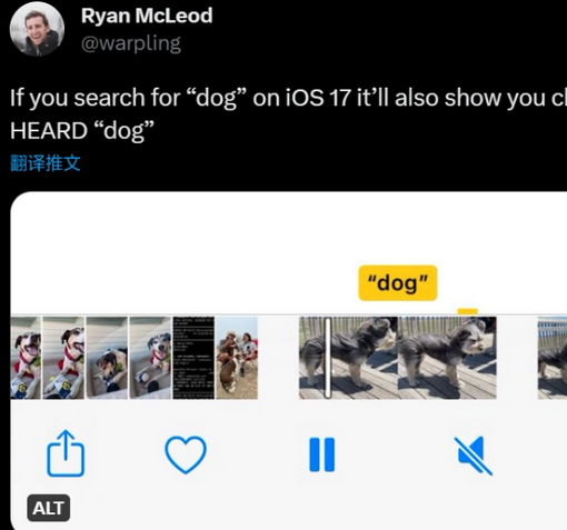 营山apple维修店分享通过关键字搜索iPhone视频内声音 