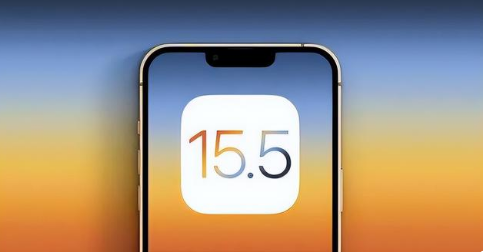 营山苹果手机维修分享iOS15.5 RC版升级建议 